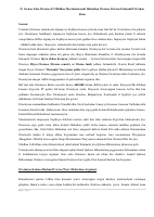 II. Seenaa Saba Oromoo.pdf